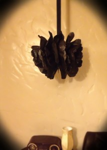 PomPom