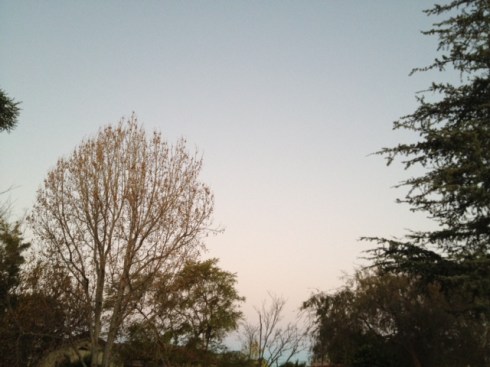 My view around 6:30 this morning. Beautiful!