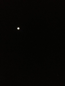 20130417-211950.jpg